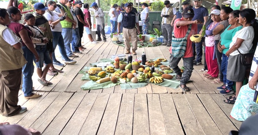Saberes ancestrales impulsan agroproyectos en el Amazonas