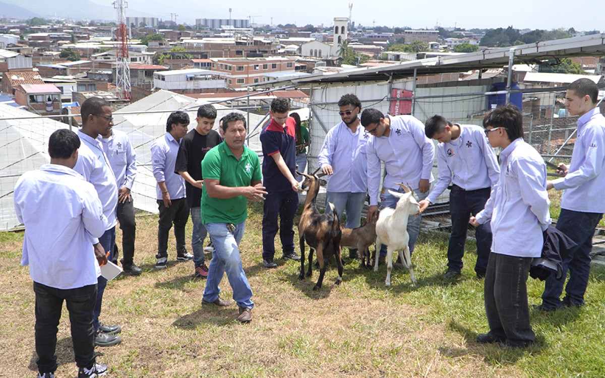 Instructor del SENA en Premios Verdes 2026 con ecogranja en Cali